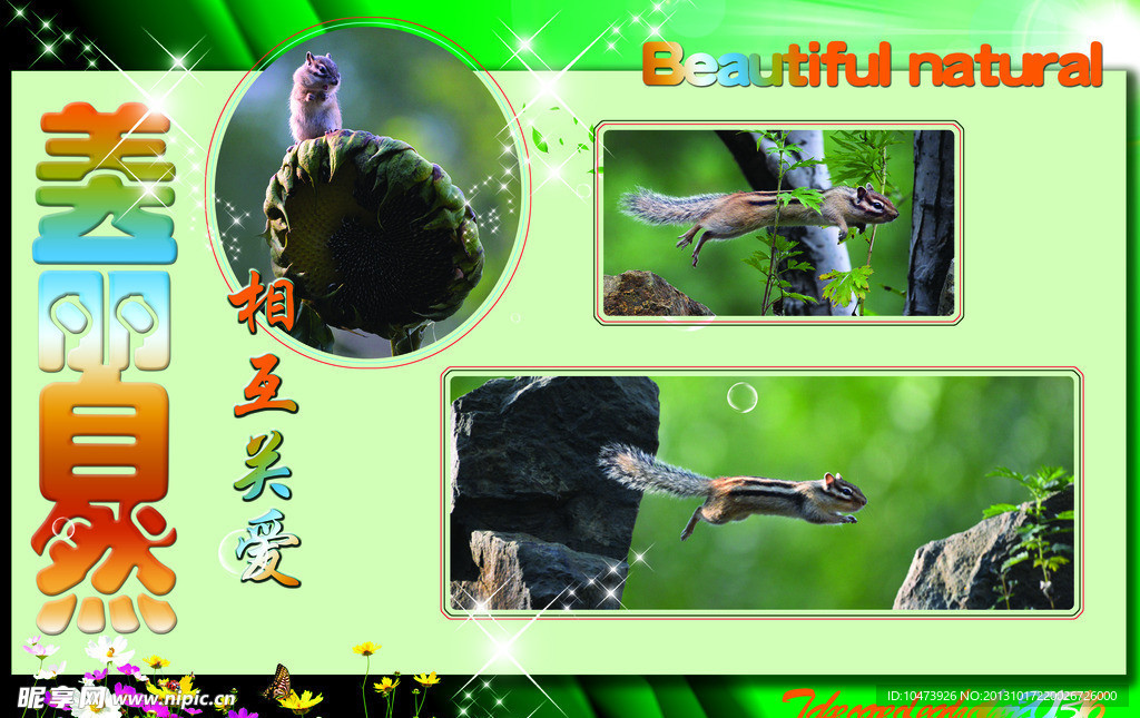 可爱松鼠创意图片