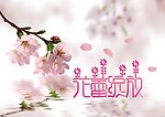 花蕾绽放