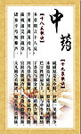 中医 中药理疗