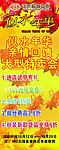 似水年华展架