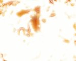 动态粒子视频素材