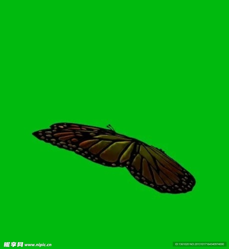 动态蝴蝶视频素材
