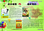 企业简报