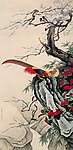 锦鸡