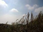 姑婆山风景