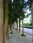 姑婆山景色