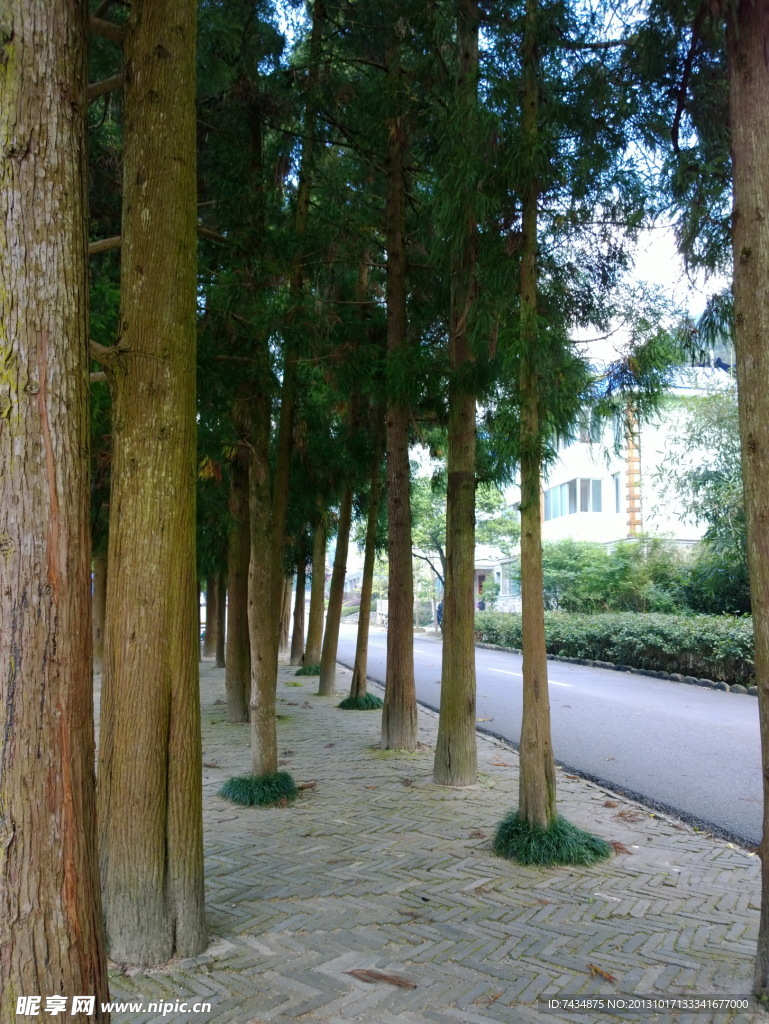 姑婆山景色