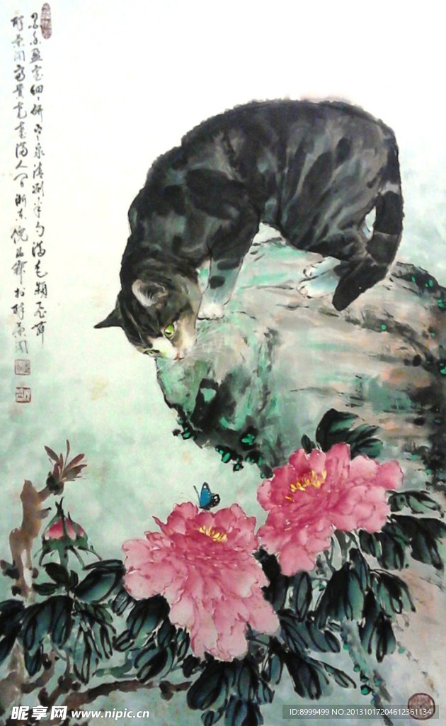 黑猫观花