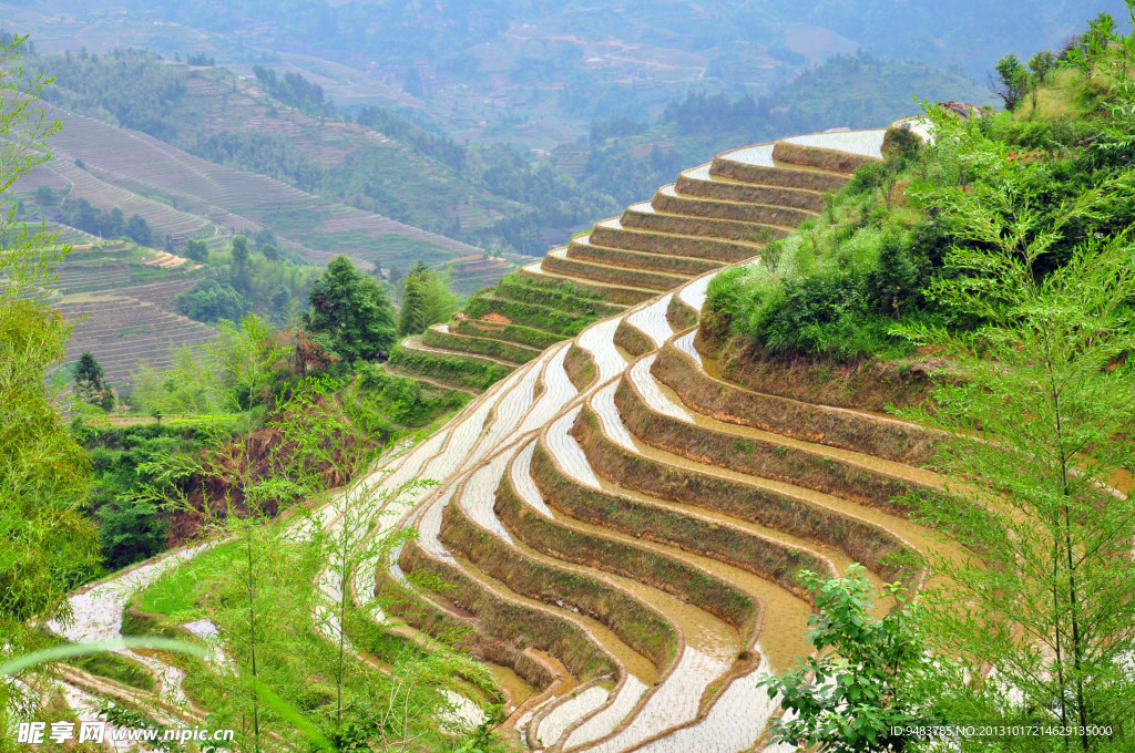 龙脊梯田