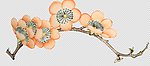 中国风 梅花