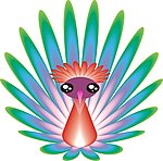 楚楚可怜孔雀