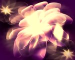 紫色光效花朵视频素材