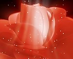 玫瑰星光背景视频素材
