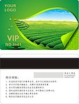 绿色叶子会员卡