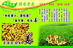 生姜 姜的好处