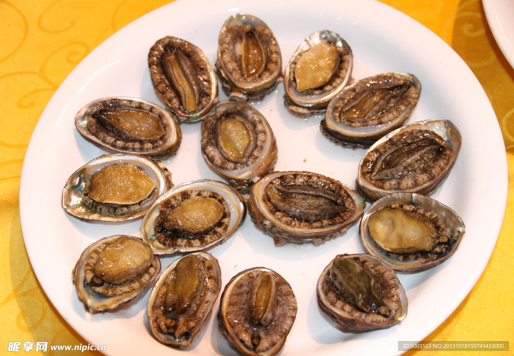 澳洲小鲍鱼