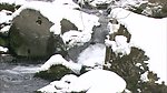 雪景