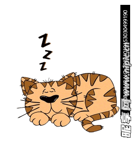 卡通猫