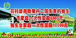 计生宣传语