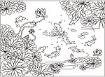 荷花鲤鱼