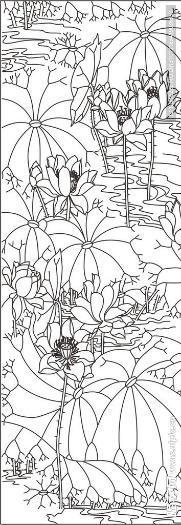 荷花
