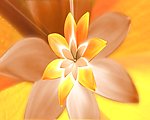 金色花朵背景视频素材