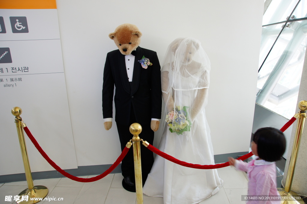 熊结婚
