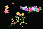 鲜花 花藤