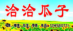 洽洽瓜子