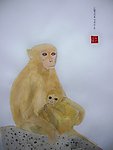 水粉画 国画 猴子