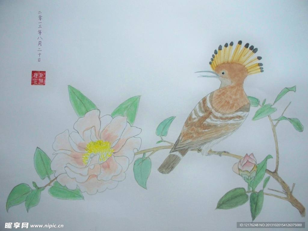 水粉画 花鸟 国画