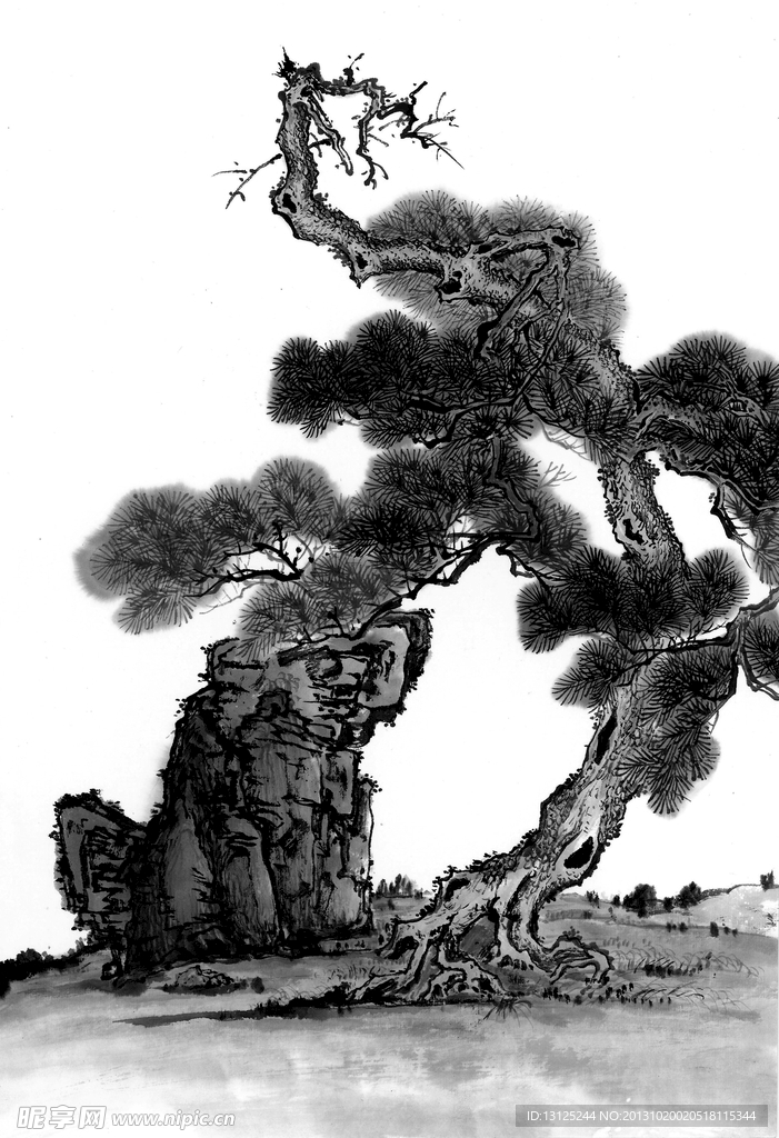松 树 松树 国画