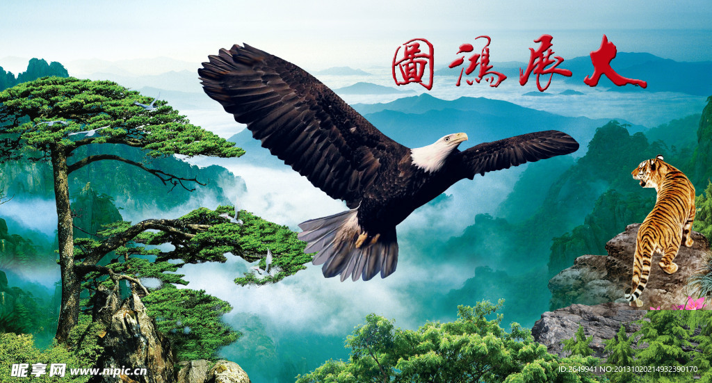 雄鹰