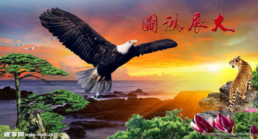 雄鹰