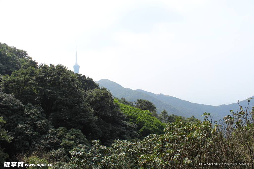 梧桐山