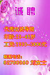 诚聘