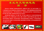 铁锅炖鱼