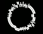 信息图案视频素材