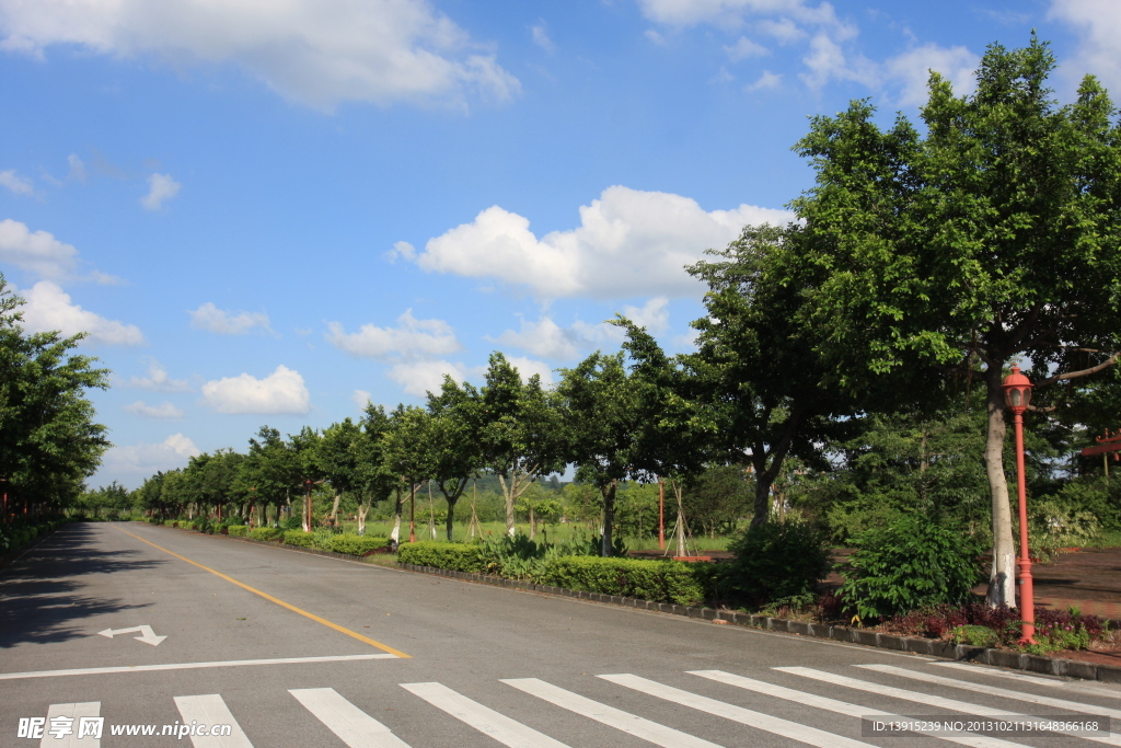 南方医科大学顺德校区