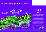 紫芯薯