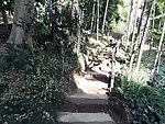 动漫风景