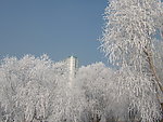 吉林雾凇
