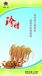 食堂展板