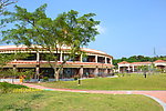 公园风景