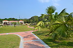 公园风景