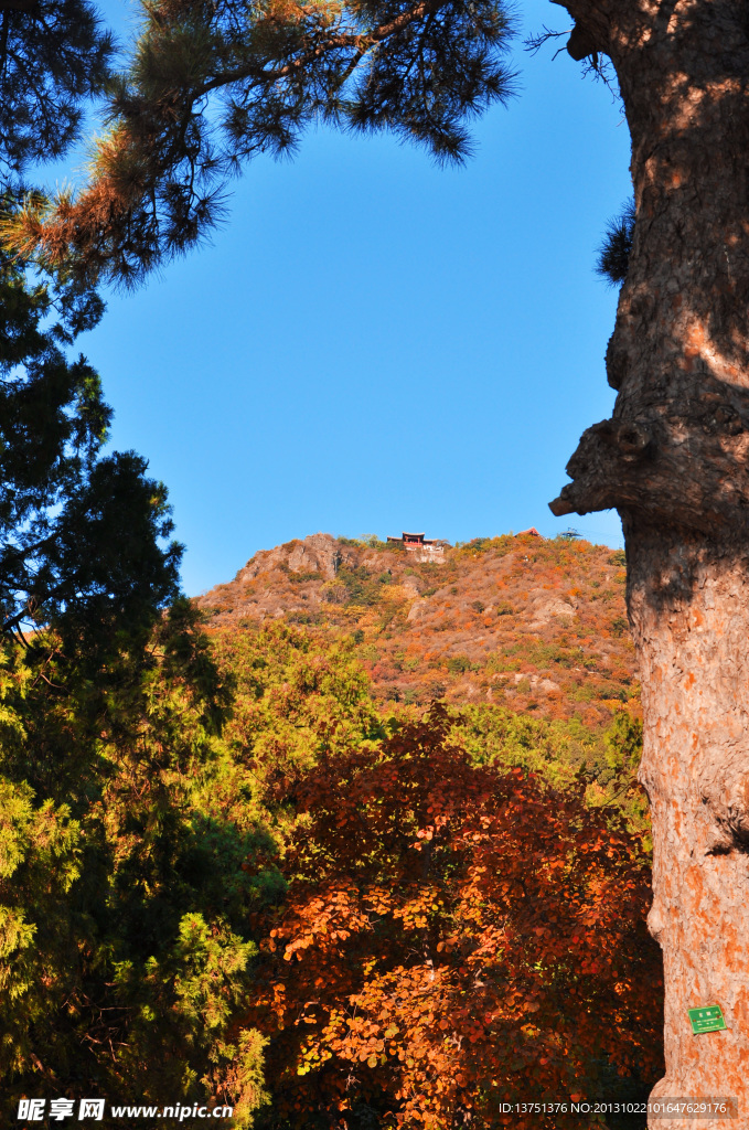 香山