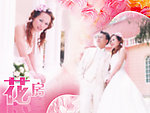 婚纱照模板
