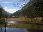 山水情
