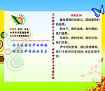 班级风采