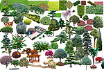园林绿化设计景观树木
